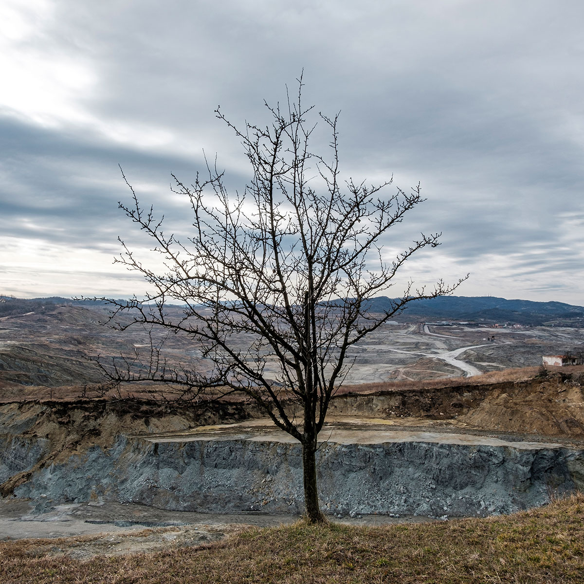 Mitar Simikic-Ugljevik_11