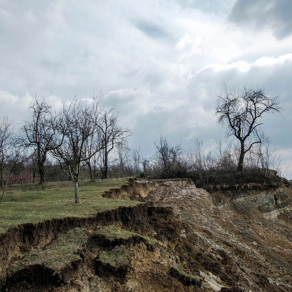 Mitar Simikic-Ugljevik_3